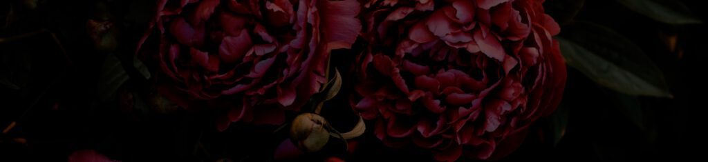 Ein dunkles Bild mit Blumen