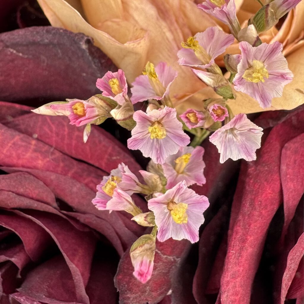 bunte und getrocknete Blumen
