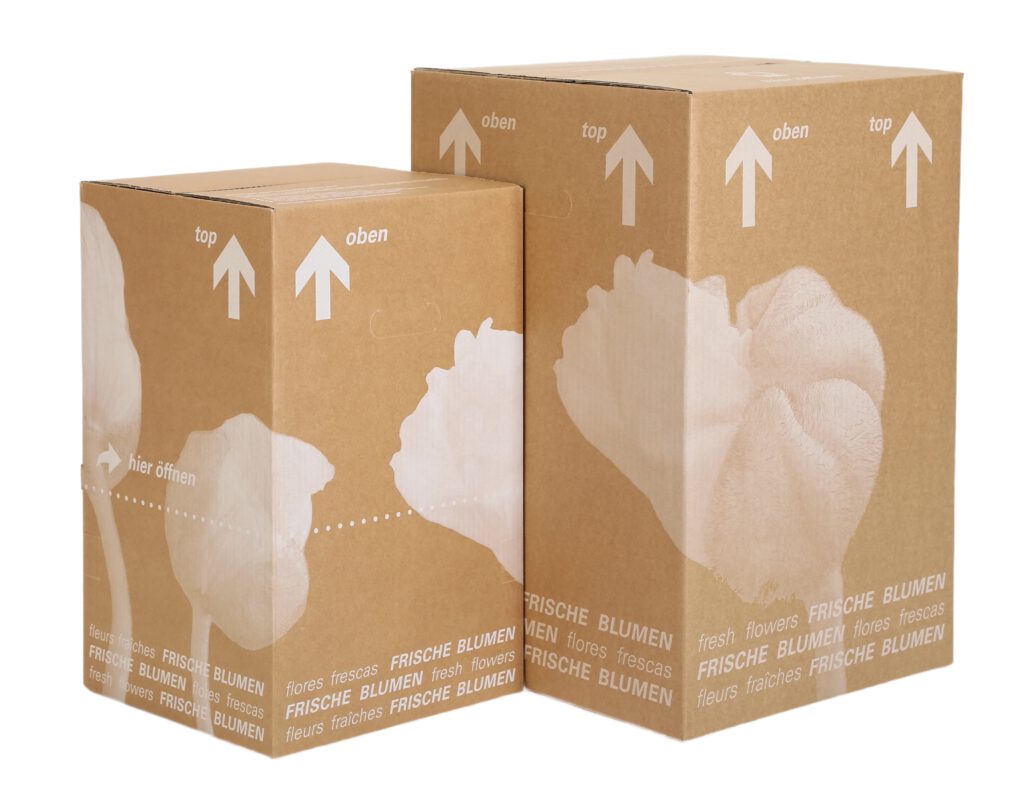 Frische Blumen Versandpaket von Bluetenwerk